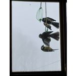 Zdjęcia użytkowników Huawei Nova 14 Pro