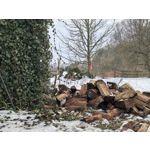 Zdjęcia użytkowników Huawei Nova 14 Pro