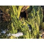 ZDJĘCIA Z TEGO TELEFONU