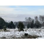 Zdjęcia użytkowników Huawei Nova 14 Pro