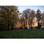 Zdjęcia użytkowników Huawei Pura 70 Pro