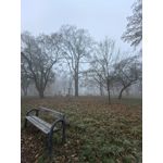 Zdjęcia użytkowników Huawei Pura 70 Pro