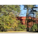 Zdjęcia użytkowników Huawei Pura 80 Pro