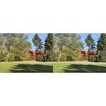 ZDJĘCIA Z TEGO TELEFONU