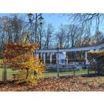 Zdjęcia użytkowników Huawei Pura 80 Pro