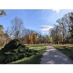 Zdjęcia użytkowników Huawei Pura 80 Pro