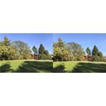 ZDJĘCIA Z TEGO TELEFONU