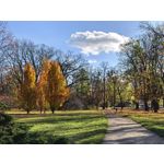 Zdjęcia użytkowników Huawei Pura 80 Ultra