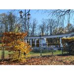 Zdjęcia użytkowników Huawei Pura 80 Ultra