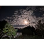 Zdjęcia użytkowników Huawei Pura 80 Ultra