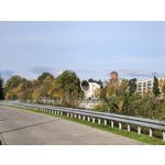 Zdjęcia użytkowników Huawei Pura 80 Ultra