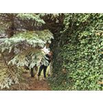 Zdjęcia użytkowników Huawei Pura 80 Ultra