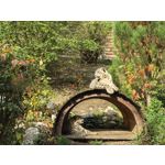 Zdjęcia użytkowników Huawei Pura 80 Ultra