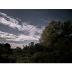 Zdjęcia użytkowników Huawei Pura 80 Ultra