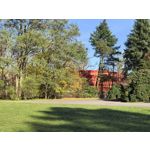 Zdjęcia użytkowników Huawei Pura 80 Ultra