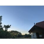 Zdjęcia użytkowników Huawei Pura 80 Ultra