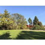 Zdjęcia użytkowników Huawei Pura 80 Ultra