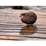 Zdjęcia użytkowników Huawei Pura 80 Ultra