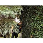 Zdjęcia użytkowników Huawei Pura 80 Ultra