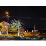 Zdjęcia użytkowników Huawei Pura 80 Ultra