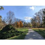 Zdjęcia użytkowników Huawei Pura 80 Ultra