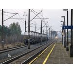 Zdjęcia użytkowników Huawei Pura 80 Ultra