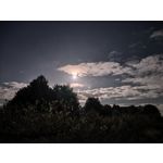 Zdjęcia użytkowników Huawei Pura 80 Ultra