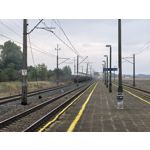 Zdjęcia użytkowników Huawei Pura 80 Ultra