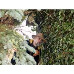 Zdjęcia użytkowników Huawei Pura 80 Ultra