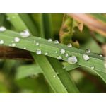 Zdjęcia użytkowników Huawei Pura 90s Pro Max Zdjęcia użytkowników Huawei Pura 90s Pro Max