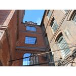 Zdjęcia użytkowników Infinix Note 12 2023