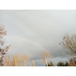 Zdjęcia użytkowników Infinix Note 12 2023