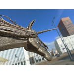 Zdjęcia użytkowników Infinix Note 12 2023