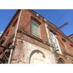 Zdjęcia użytkowników Infinix Note 12 2023