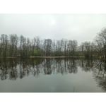 Zdjęcia użytkowników Infinix Note 12 2023