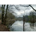 Zdjęcia użytkowników Infinix Note 12 2023