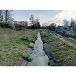 Zdjęcia użytkowników Infinix Note 12 2023