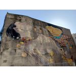 Zdjęcia użytkowników Infinix Note 12 2023