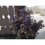 Zdjęcia użytkowników Infinix Note 12 2023