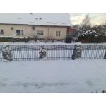 Zdjęcia użytkowników Infinix Note 12 Pro 4G