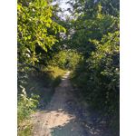 Zdjęcia użytkowników Infinix Note 30 Pro Zdjęcia użytkowników Infinix Note 30 Pro