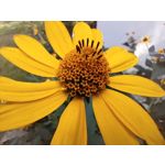 Zdjęcia użytkowników Infinix Note 30 Pro Zdjęcia użytkowników Infinix Note 30 Pro