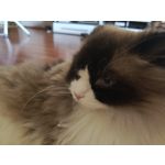 Zdjęcia użytkowników Infinix Note 30 Pro Zdjęcia użytkowników Infinix Note 30 Pro