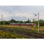 Zdjęcia użytkowników Infinix Note 30 Pro Zdjęcia użytkowników Infinix Note 30 Pro