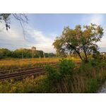 Zdjęcia użytkowników Infinix Note 30 Pro Zdjęcia użytkowników Infinix Note 30 Pro