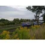 Zdjęcia użytkowników Infinix Note 30 Pro Zdjęcia użytkowników Infinix Note 30 Pro