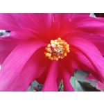 Zdjęcia użytkowników Infinix Note 30 Pro Zdjęcia użytkowników Infinix Note 30 Pro