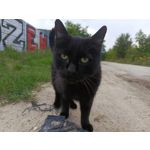 Zdjęcia użytkowników Infinix Note 30 Pro Zdjęcia użytkowników Infinix Note 30 Pro