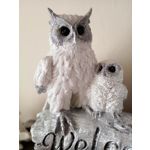 Zdjęcia użytkowników Infinix Zero 8