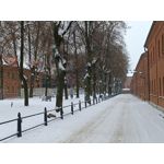 Zdjęcia użytkowników Infinix Zero Ultra 5G